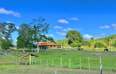 Imagem: A fazenda possui 5 Dormitórios, 4 Suítes, 3 Banheiros, 10