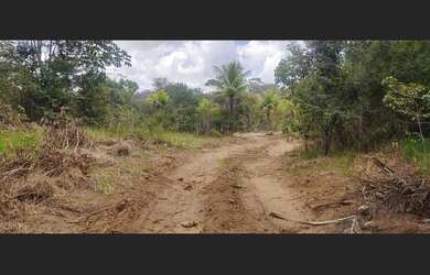 Imagem 3: Excelente fazenda para investimento