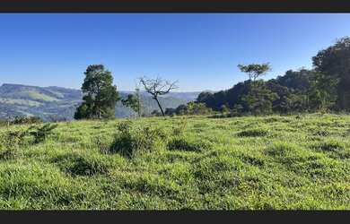 Imagem 14: Fazenda de 71 há em São Tiago MG