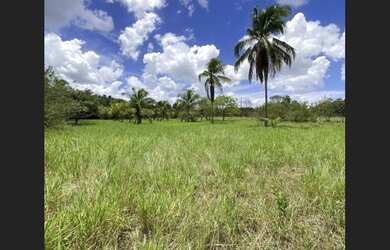 Imagem 1: Fazenda em São Sebastião do Passé-Ba