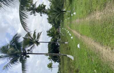 Imagem 12: Fazenda em jaguaripe. 1.000.000m² de Área, 4 Vagas na garageme3 Dormitórios