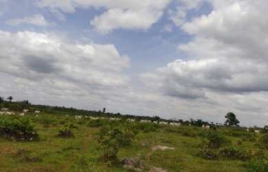 Imagem 3: Fazenda no Pará 640 alqueires com 450 em pasto por R$28.160/alqueire