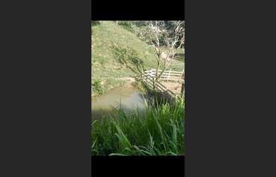 Imagem 12: Fazenda d 30 há em Carmo da Mata MG