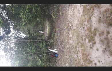 Imagem 11: Terreno rural na beira do rio Piririm