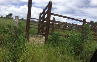 Imagem 6: FAZENDA EM SÃO FELIPE-BA