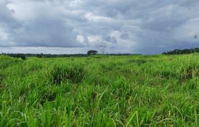 Imagem 8: R$ 2 milhões de reais 9 lotes e meio na alça viaria