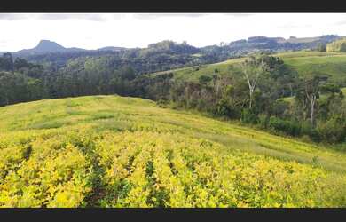 Imagem 9: Terreno rural em Santa Terezinha - SC