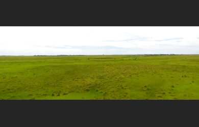 Imagem 1: Barbada FAZENDA 3.150 hectares localizada no RS em local q não sofre...