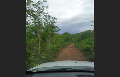 Imagem: A fazenda está localizado em Palmas, TO à venda por R$9.216.000