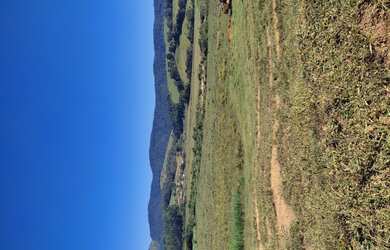 Imagem 13: Fazenda de 255 há em Bom Sucesso MG