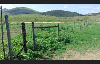 Imagem 10: Fazenda 120 hectares Vale do Mucurí Santa Helena de Minas Zap 33 998000931