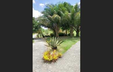 Imagem 8: Terrenos e Lotes no Fazenda Real