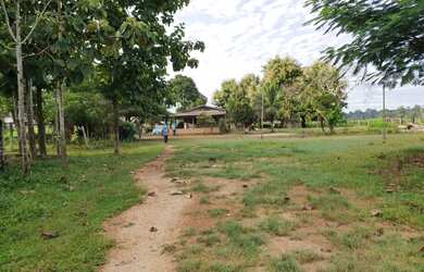 Imagem 3: Fazenda em União Bandeirantes