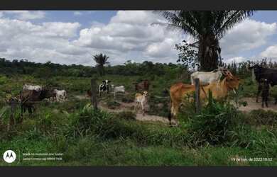 Imagem: A fazenda possui 2.000.000m² de Área e está localizado em