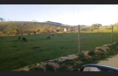 Imagem 2: Fazenda 120 hectares Vale do Mucurí Santa Helena de Minas Zap 33 998000931