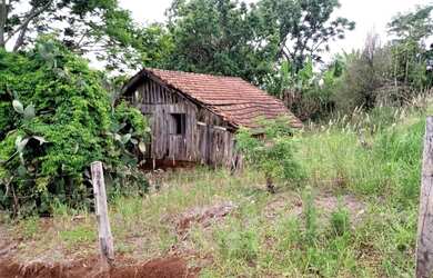 Imagem 8: Sítio no Município de Apucarana/PR