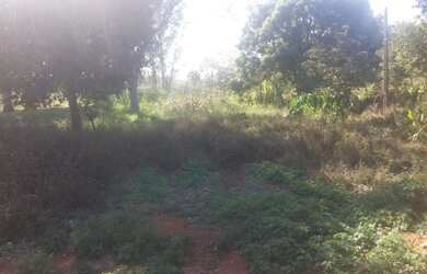 Imagem 3: Fazenda de 110 ha em Claudio