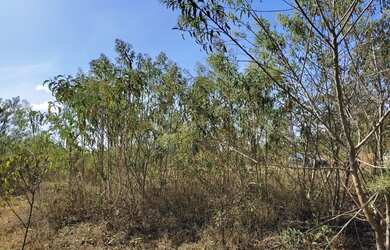 Imagem 11: Fazenda de 110 há em São Tiago MG