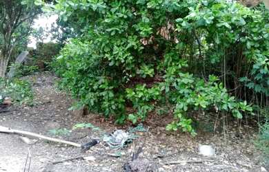 Imagem 4: Terreno na baixinha Caxias - Ma