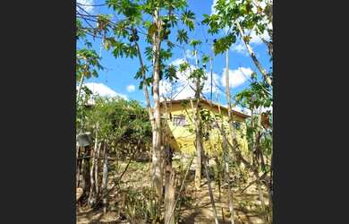 Imagem 13: Fazenda de 151 há em Cordisburgo MG