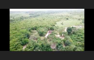 Imagem 8: R$600 mil reais fazenda de 34 Alqueires em Paragominas Pará