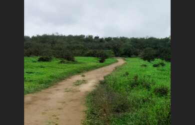 Imagem: O terreno possui 19.500m² de Área e está localizado em Capim