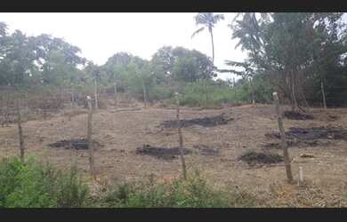 Imagem: O terreno possui 125m² de Área, Imóvel novo e está localizado