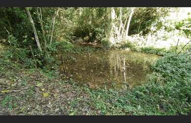 Imagem 10: Terreno rural em Santa Terezinha - SC