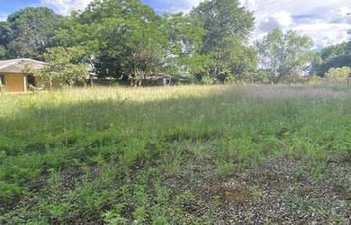 Imagem 2: Vendo LOTE em Cocalzinho de Goiás