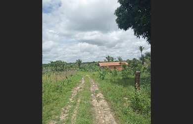 Imagem 3: LOTEAMENTO EM NAZARIA. 