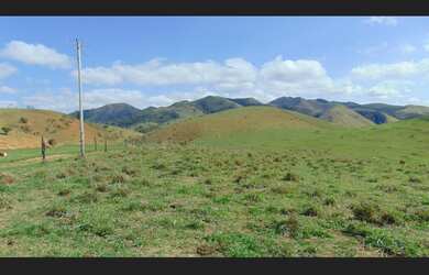Imagem 8: Fazenda 120 hectares Vale do Mucurí Santa Helena de Minas Zap 33 998000931
