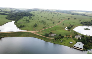 Imagem 11: FAZENDA EM BELA VISTA DE GOIÁS, COM 2013,44 HECTARES