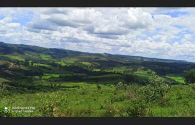 Imagem 5: Fazenda de 14 há em São Tiago MG
