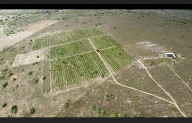 Imagem: O terreno está localizado em Morro do Chapéu, BA à venda