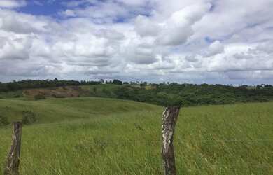 Imagem 3: FAZENDA EM SÃO FELIPE-BA