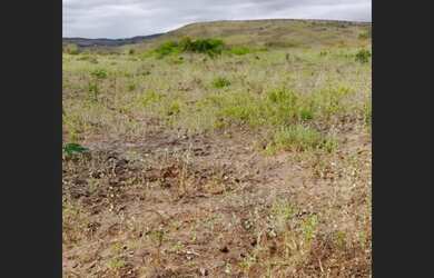 Imagem: O terreno possui 16.500m² de Área e está localizado em Senhor