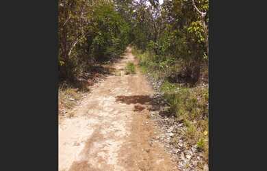 Imagem: A fazenda e está localizado em Novo Acordo, TO à venda por