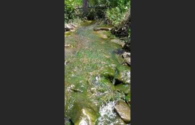 Imagem 9: Fazenda de 140 há em Sã Tiago MG