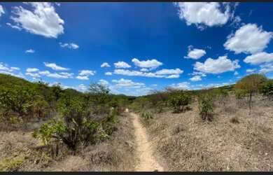Imagem: O terreno possui 12.000m² de Área e está localizado em Jacobina