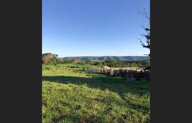 Imagem: A fazenda está localizado em Porto Nacional, TO à venda por