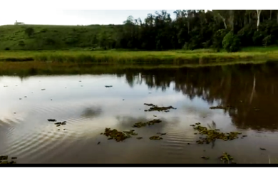 Imagem 1: Vendo fazenda de 617 alqueires região de Governador Valadares as margens da BR 116