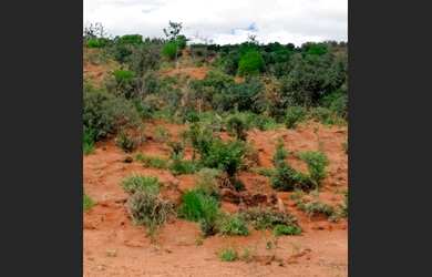 Imagem: O terreno possui 11.000m² de Área e está localizado em Campo
