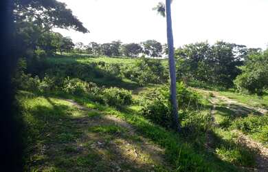 Imagem 10: Fazenda de 74 há em Cordisburgo MG