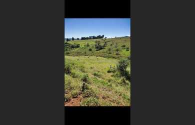 Imagem 3: Fazendinha de 15 ha em São Tiago