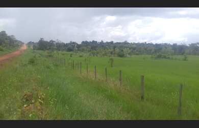 Imagem 8: 300 alqueires com 1000 rezes por R$8 milhões porteira fechada