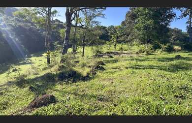Imagem 16: Fazenda de 71 há em São Tiago MG