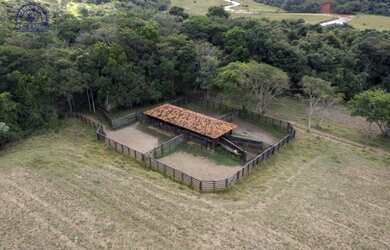 Imagem 7: Fazenda de 297 há em São Tiago MG