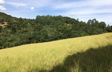 Imagem: O terreno possui 24.200m² de Área e está localizado em Camanducaia