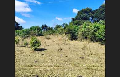 Imagem 2: Fazenda de 110 há em São Tiago MG