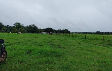 Imagem 4: R$ 2 milhões de reais 9 lotes e meio na alça viaria